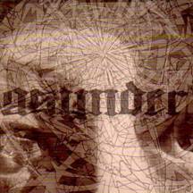 Asunder (USA) : Asunder - Like Flies On Flesh